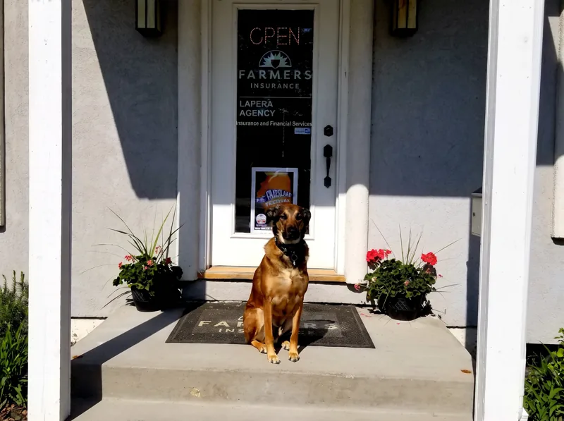 The Lapera Insurance Agency office door at 530 Barron Blvd, Grayslake, open for business